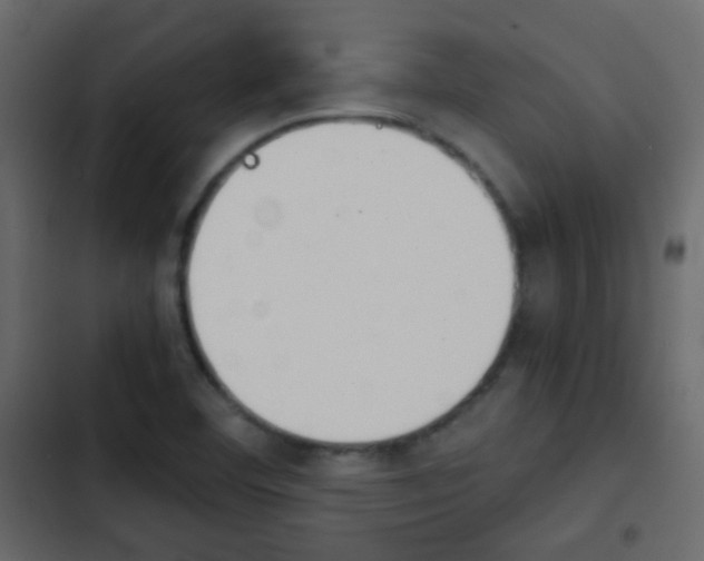 X0000103901460200809191044