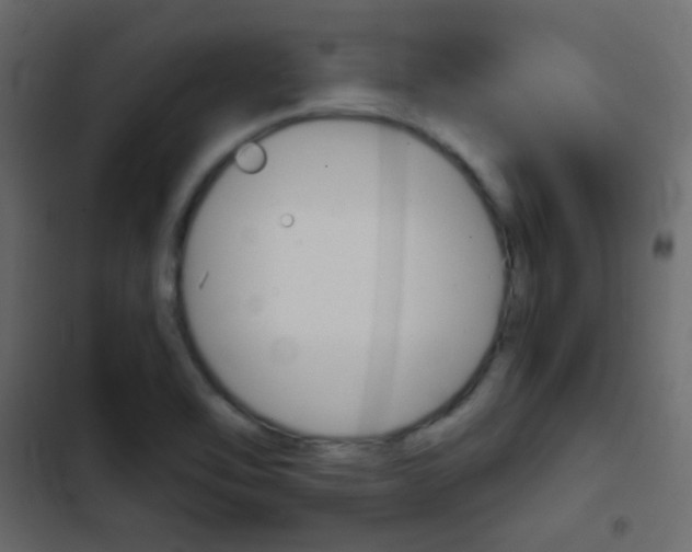 X0000103901462200809191044