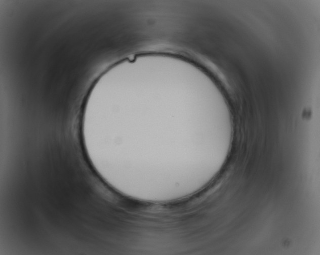 X0000103901463200809191044