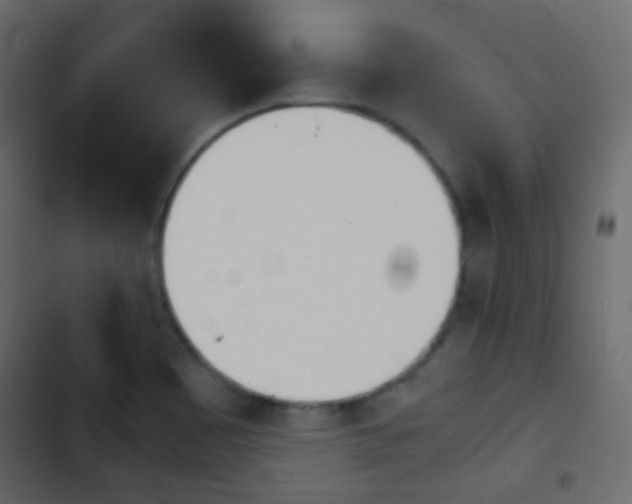 X0000103901465200809191044