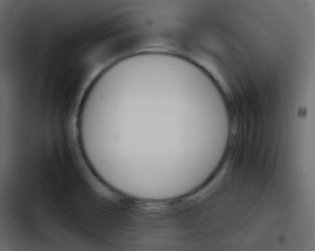 X0000103901466200809191044
