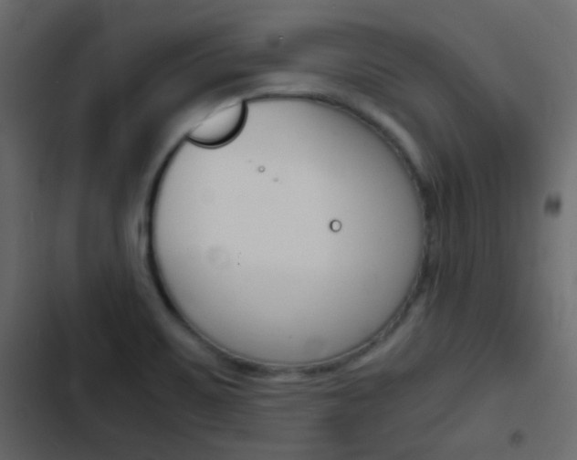 X0000103901467200809191044
