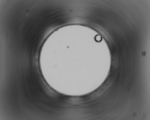 X0000103901468200809191044