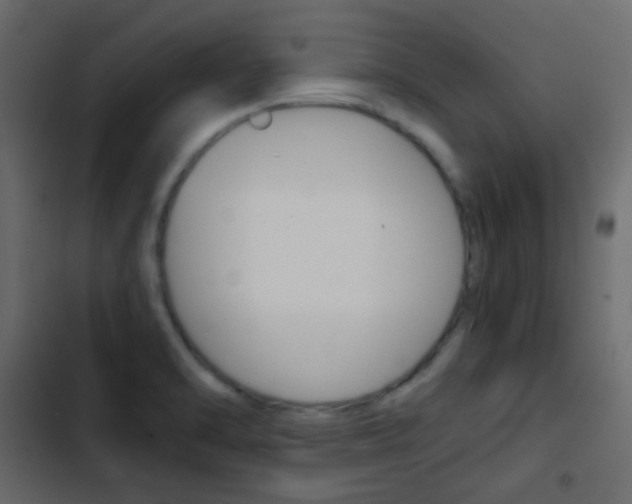 X0000103901470200809191044