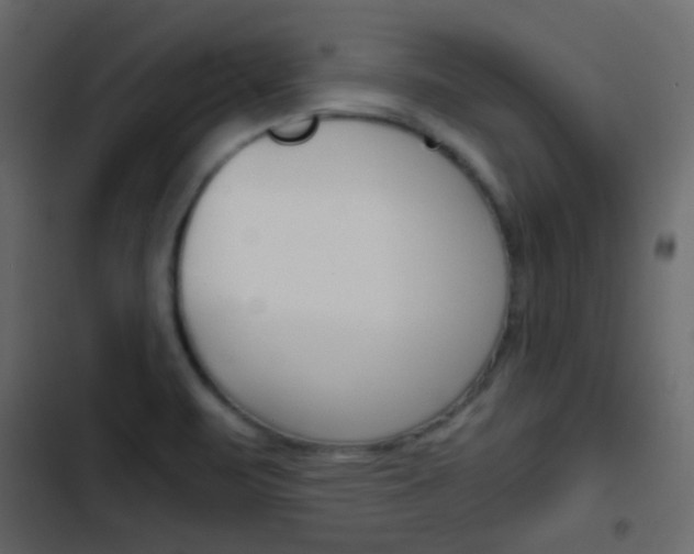 X0000103901471200809191044