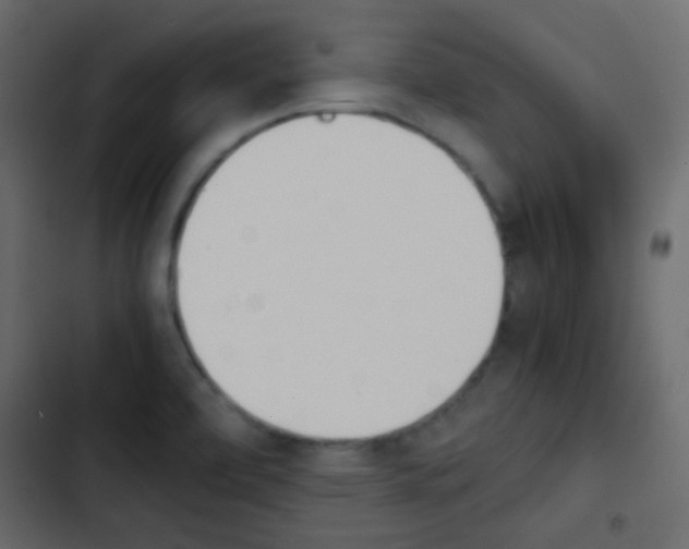 X0000103901472200809191044