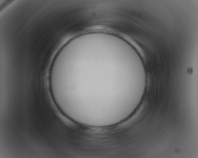X0000103901474200809191044