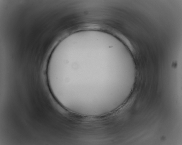X0000103901475200809191044