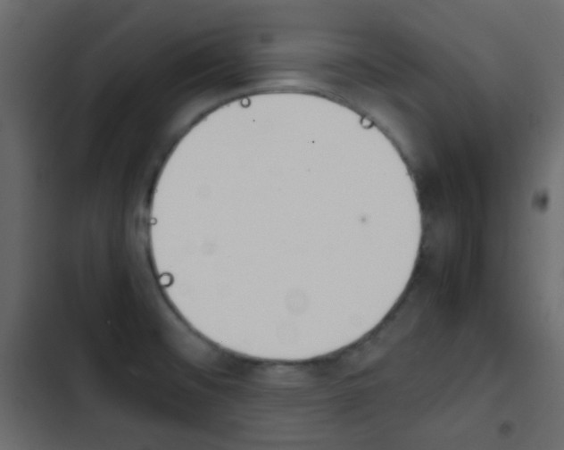 X0000103901476200809191044