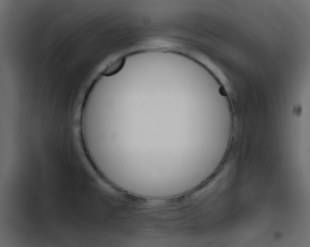X0000103901477200809191044