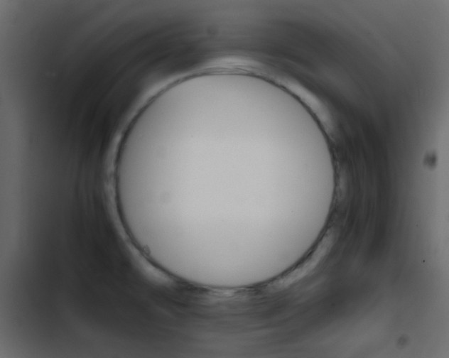 X0000103901478200809191044