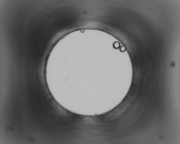 X0000103901480200809191044