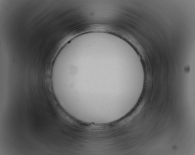 X0000103901481200809191044