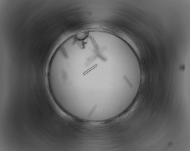 X0000103901482200809191044