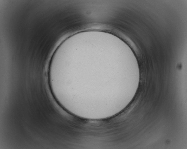 X0000103901483200809191044