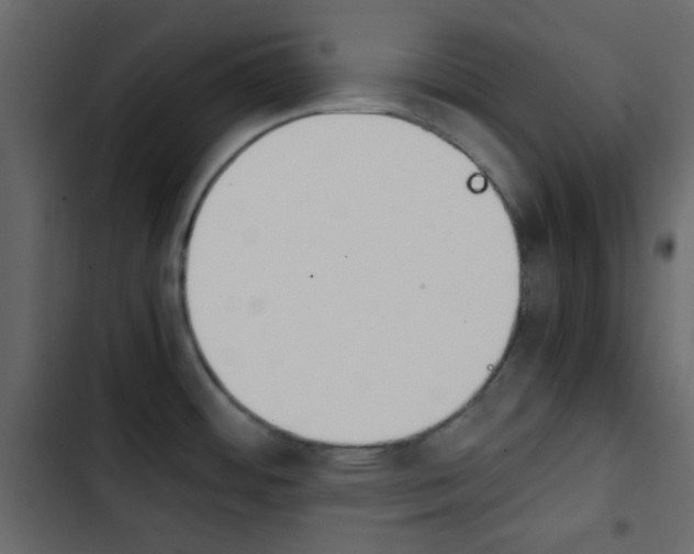 X0000103901484200809191044