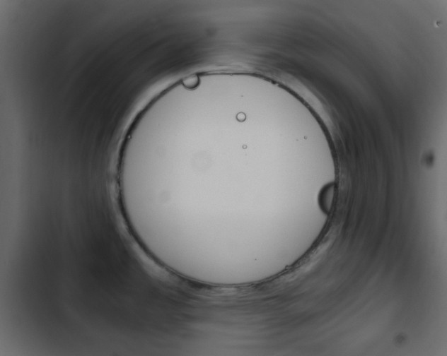 X0000103901485200809191044