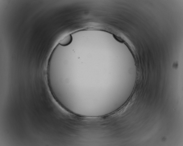 X0000103901487200809191044