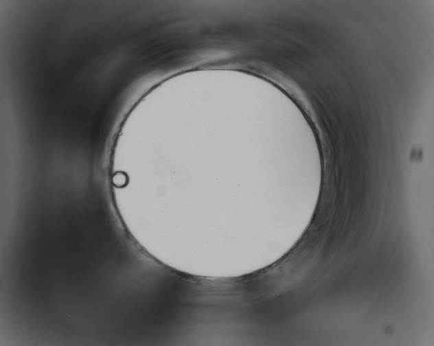 X0000103901488200809191044