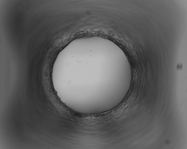 X0000103901489200809191043