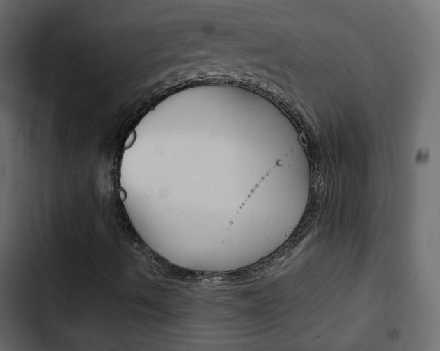 X0000103901490200809191043