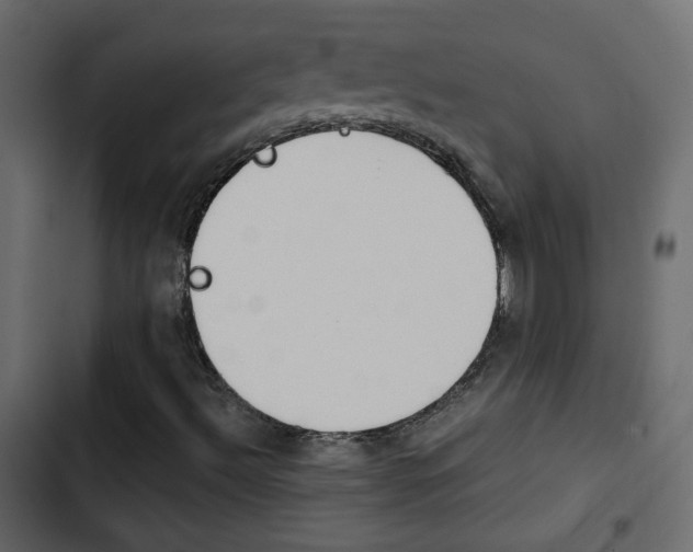 X0000103901492200809191043