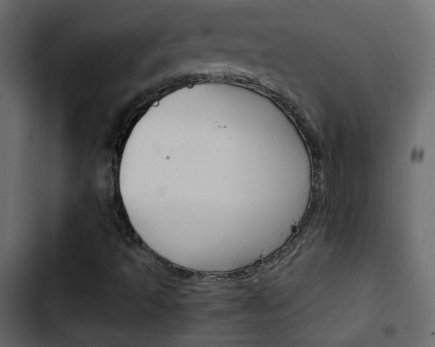 X0000103901493200809191043