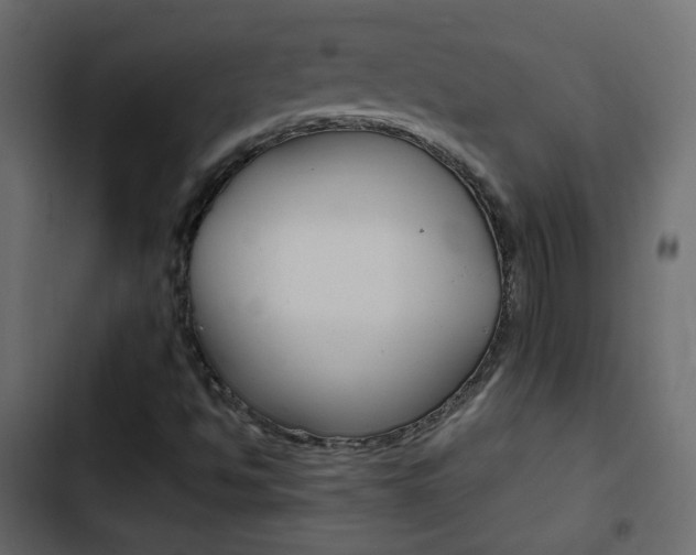 X0000103901494200809191043