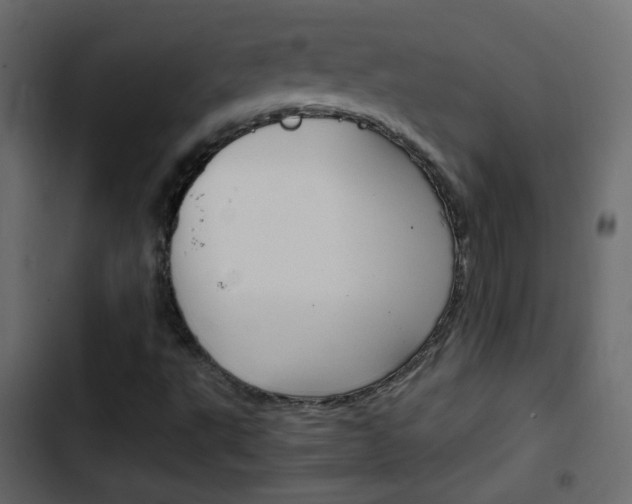 X0000103901495200809191043