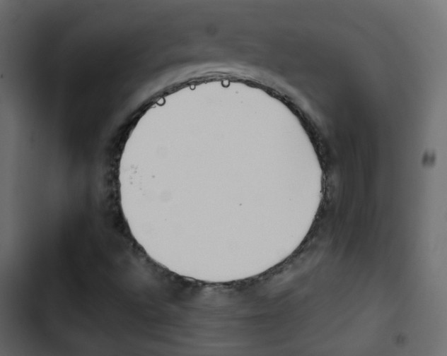 X0000103901496200809191043