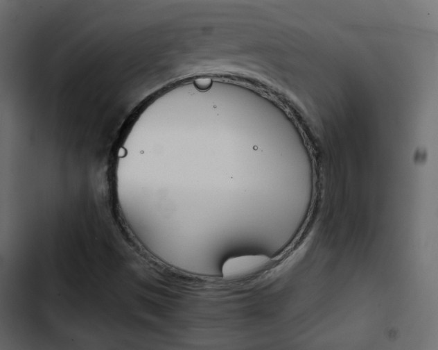 X0000103901497200809191043