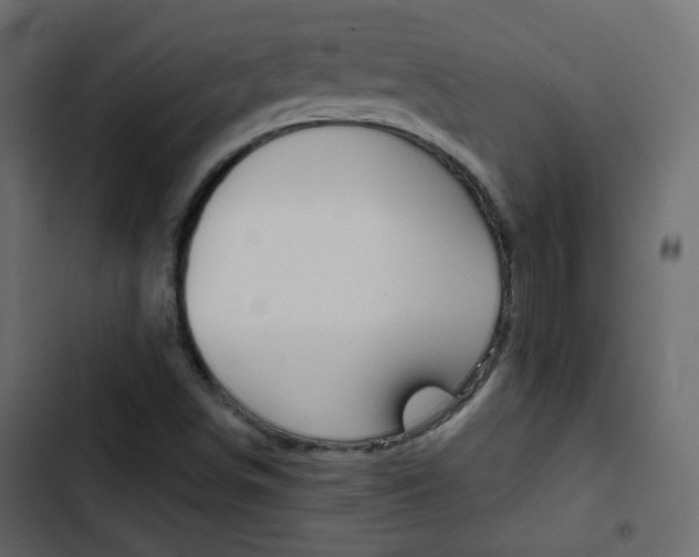X0000103901498200809191043