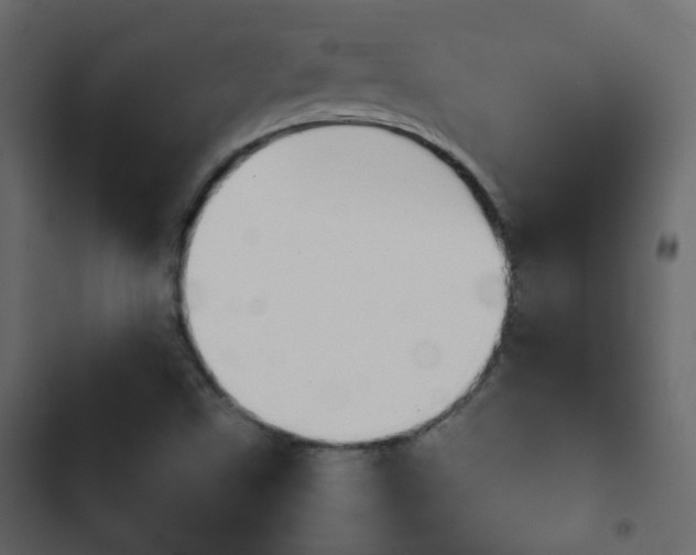 X0000103901499200809191043