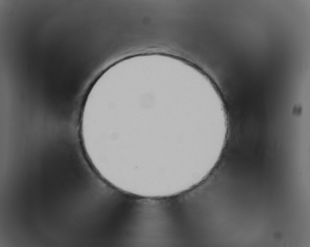 X0000103901500200809191043
