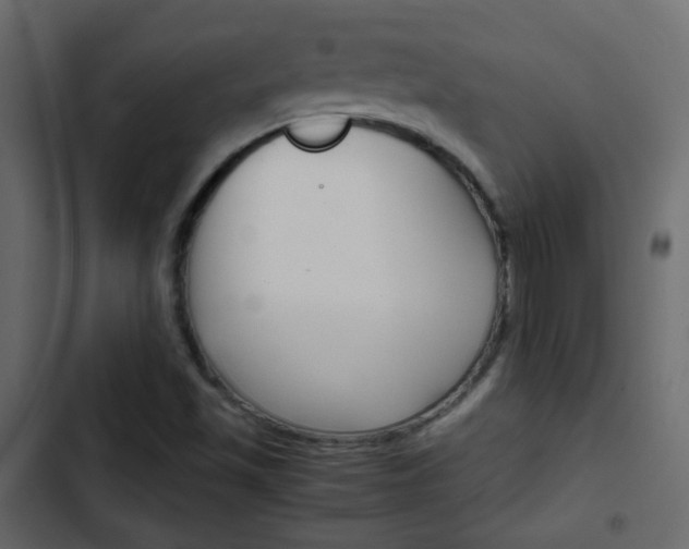 X0000103901501200809191043
