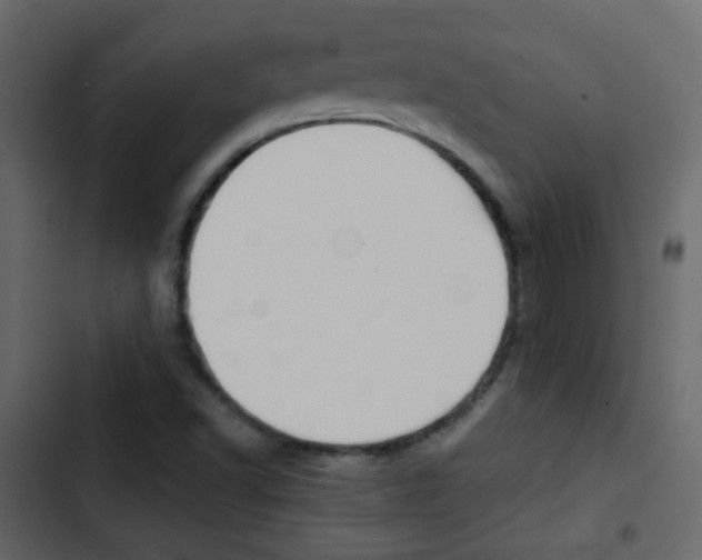 X0000103901502200809191043