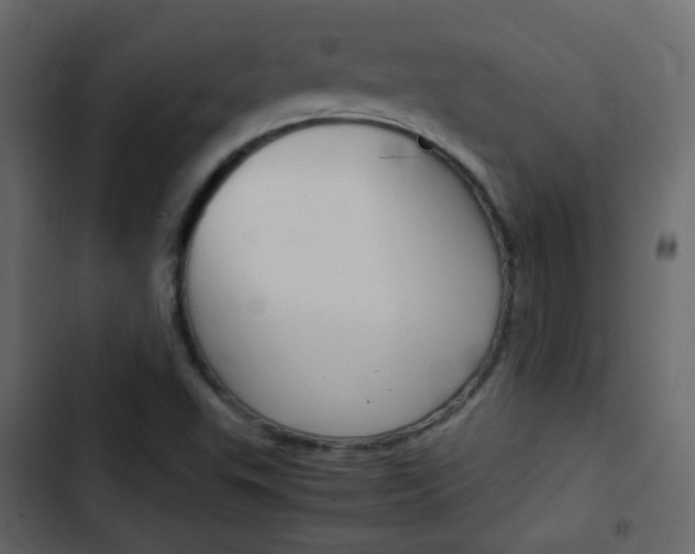 X0000103901503200809191043