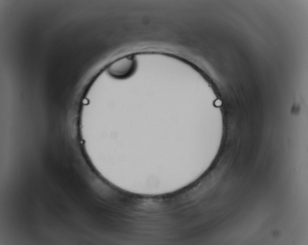 X0000103901504200809191043