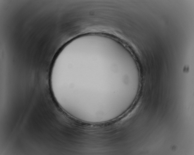 X0000103901505200809191043
