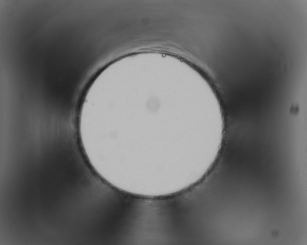 X0000103901506200809191043