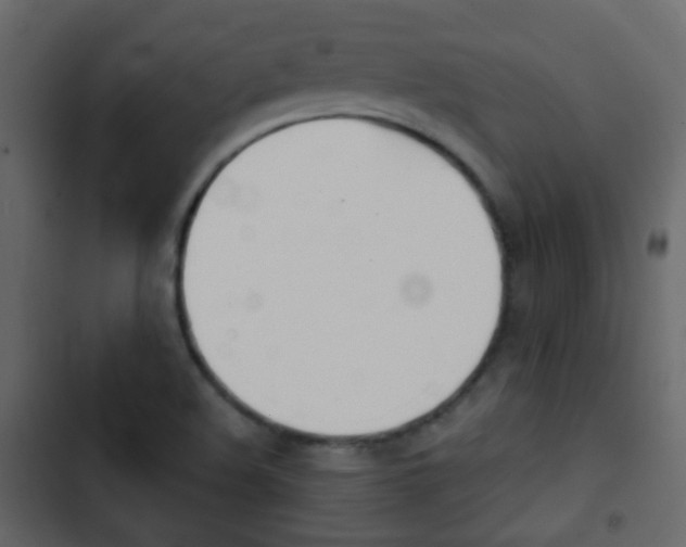 X0000103901508200809191043