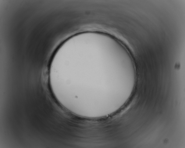 X0000103901509200809191043