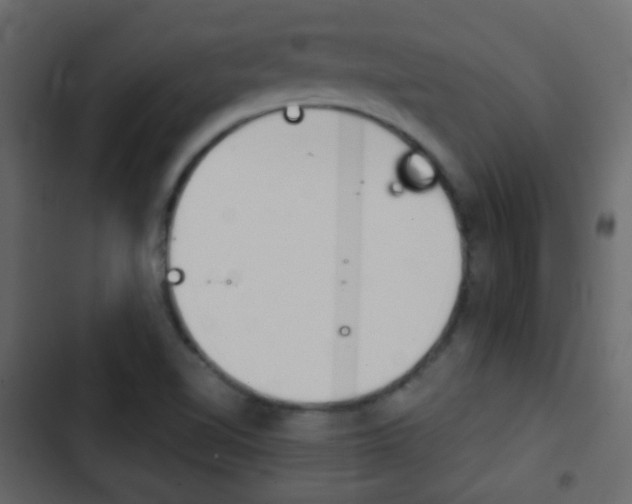 X0000103901510200809191043