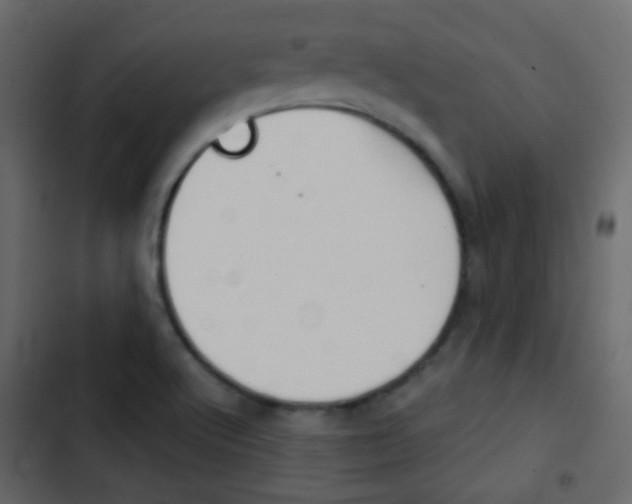 X0000103901512200809191043
