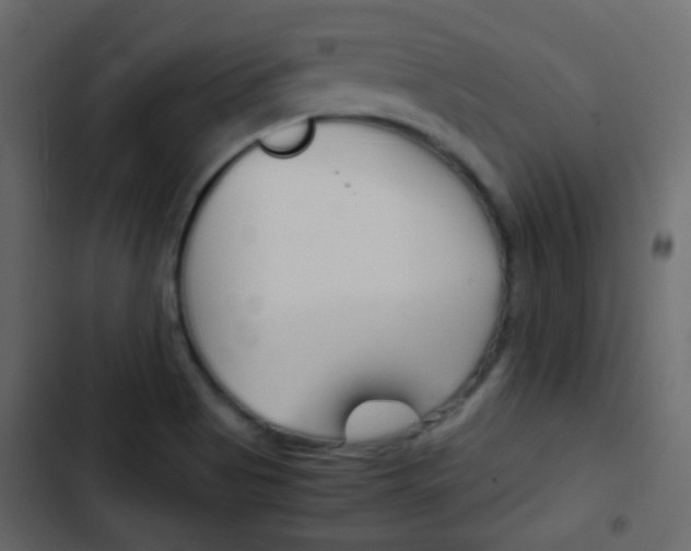 X0000103901513200809191043