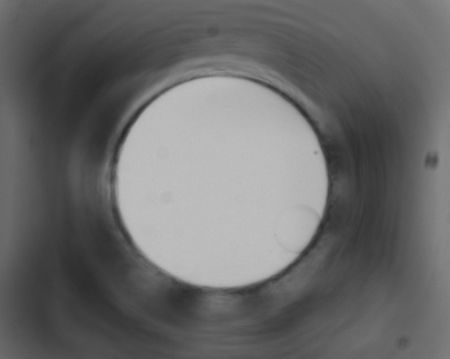 X0000103901514200809191043