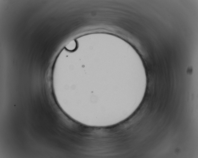 X0000103901516200809191043