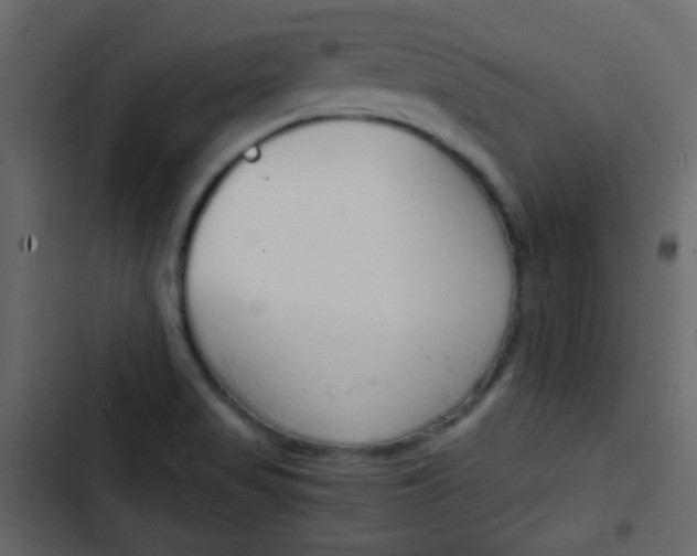 X0000103901517200809191043
