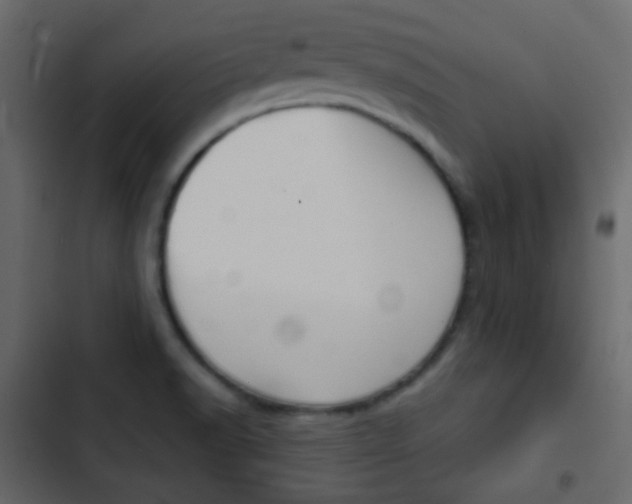X0000103901518200809191043