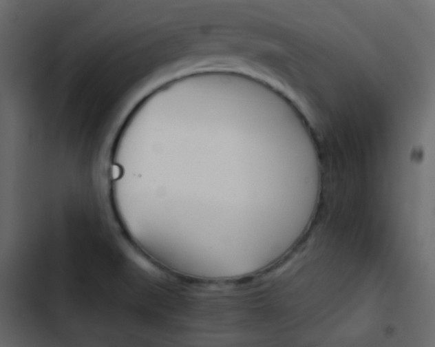 X0000103901519200809191043